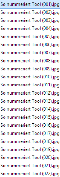 Nummerierung von meinem Java-Tool mit führenden Nullen